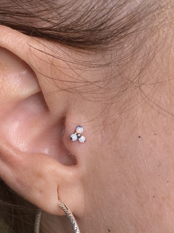 Procés de piercing a The Black Cat Tattoo